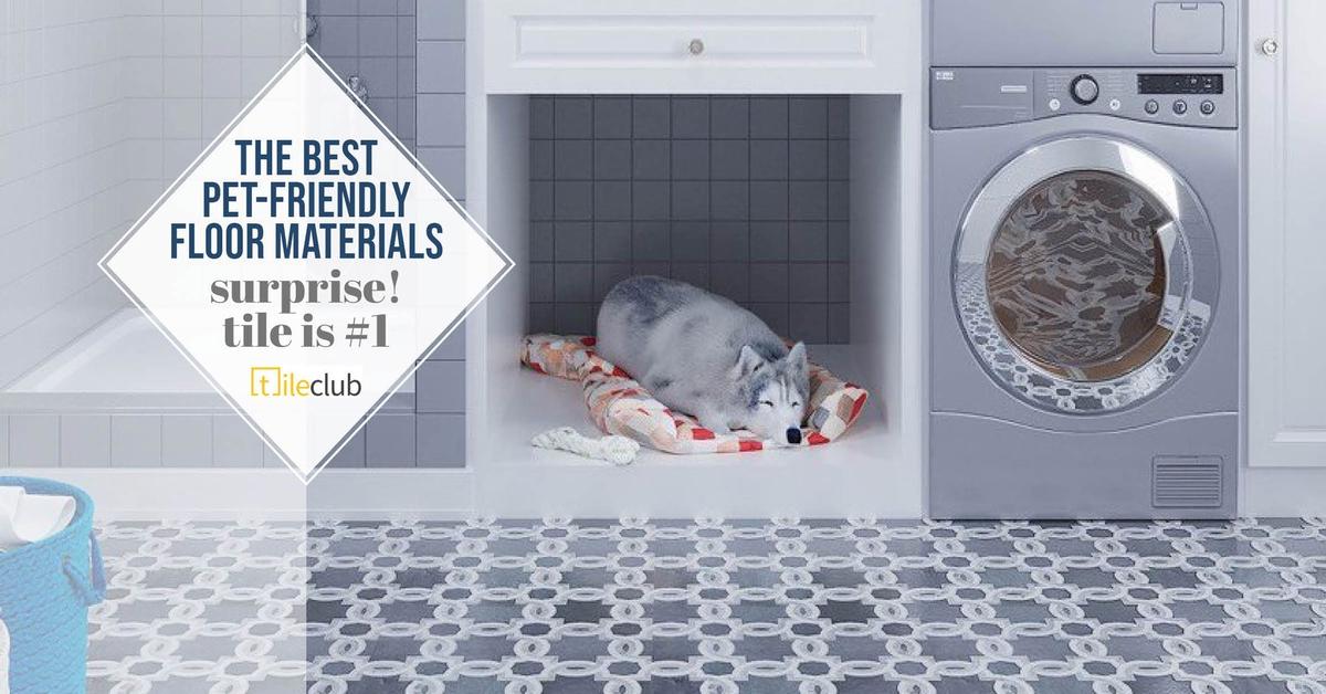 Best Pet-Friendly Flooring Options