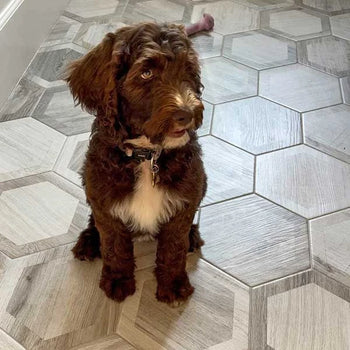 FLOOR TILE