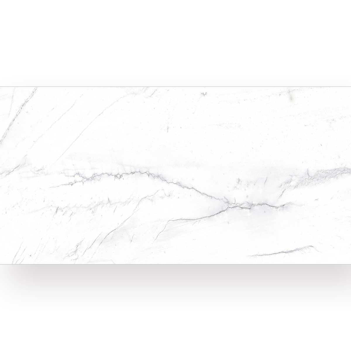 Emporio Statuario White Matte Large-Format Porcelain Tile 24x48