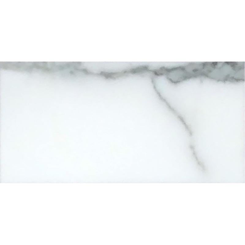 Calacatta Gold 12X24 Honed Marble Tile | Tile Club | Position1