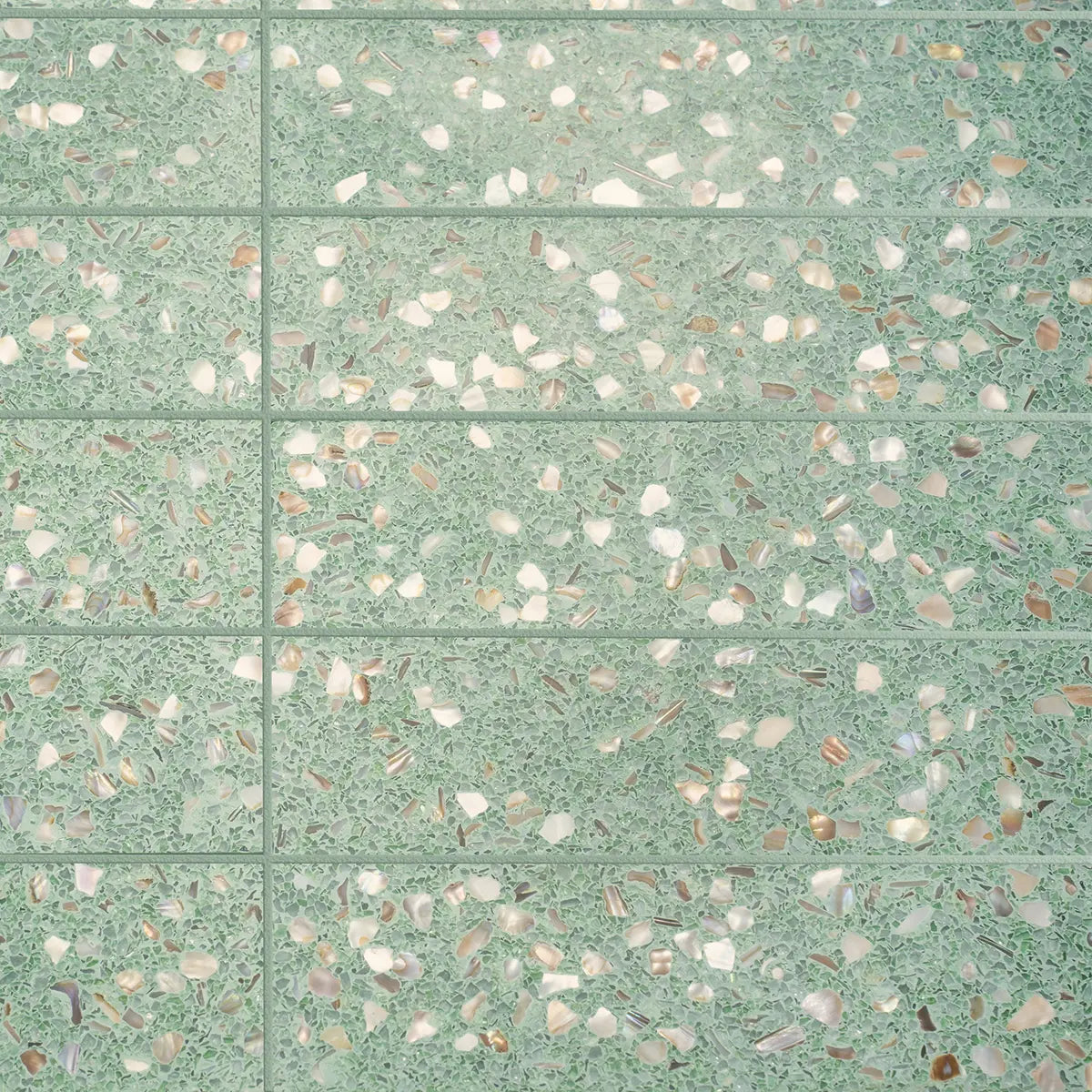 Corazza Tropical Green Shell and Terrazzo Subway Tile