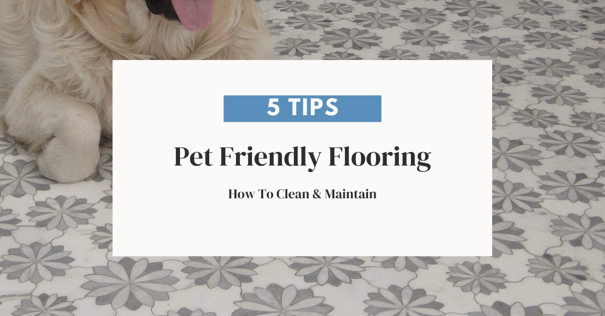 5 Tips For Cleaning And Maintaining Pet Friendly Floors