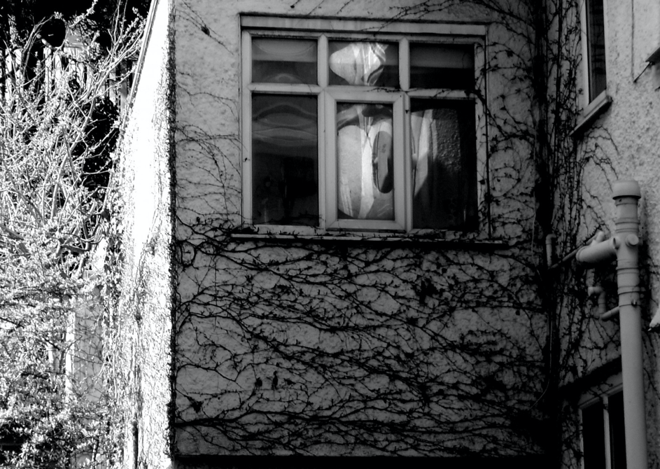 Halloween Blog: Winning Submission!