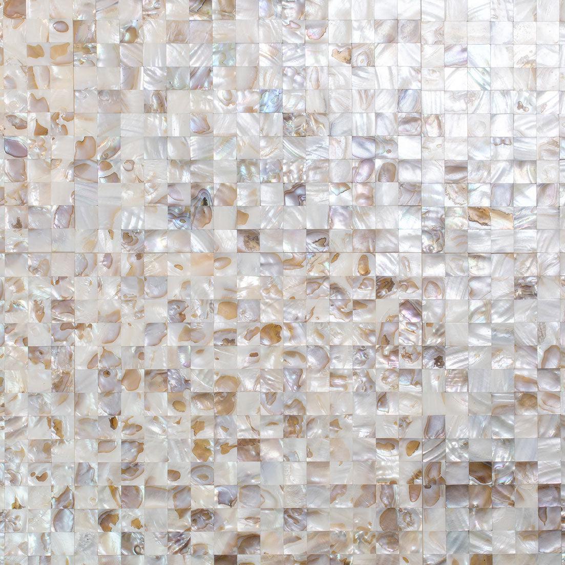 Seashell Dreams Square Mosaic Tile | Tile Club