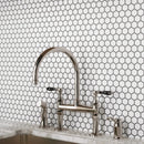 1'' White Matte Hexagon Porcelain Mosaic