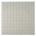 Glacier Beach 1X1 Polished Glass Tile Sample