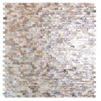 Seashell Dreams Brick Mosaic Tile | Tile Club