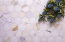 calacatta gold 2 inch hexagon mosaic tile polished