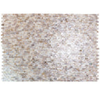 Seashell Dreams Brick Mosaic Tile | Tile Club