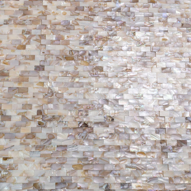 Seashell Dreams Brick Mosaic Tile | Tile Club