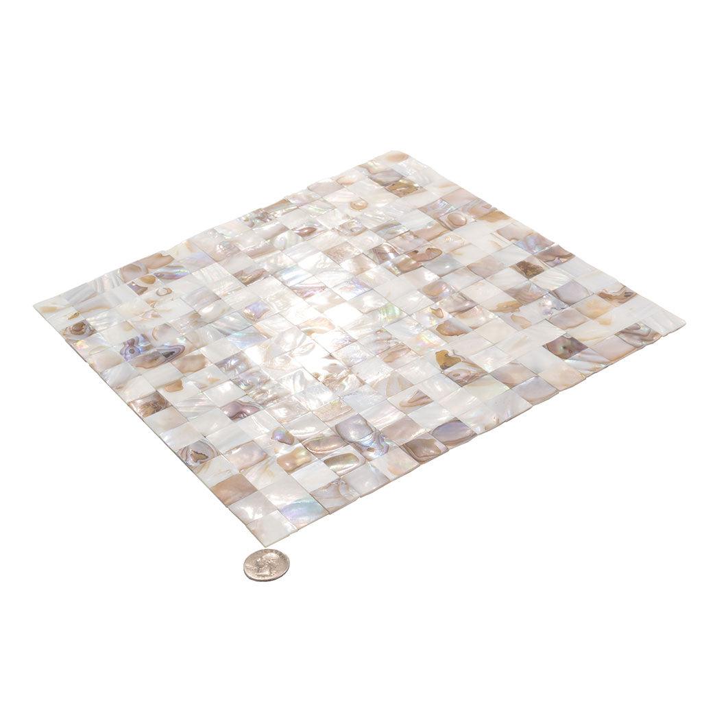 Seashell Dreams Square Mosaic Tile | Tile Club