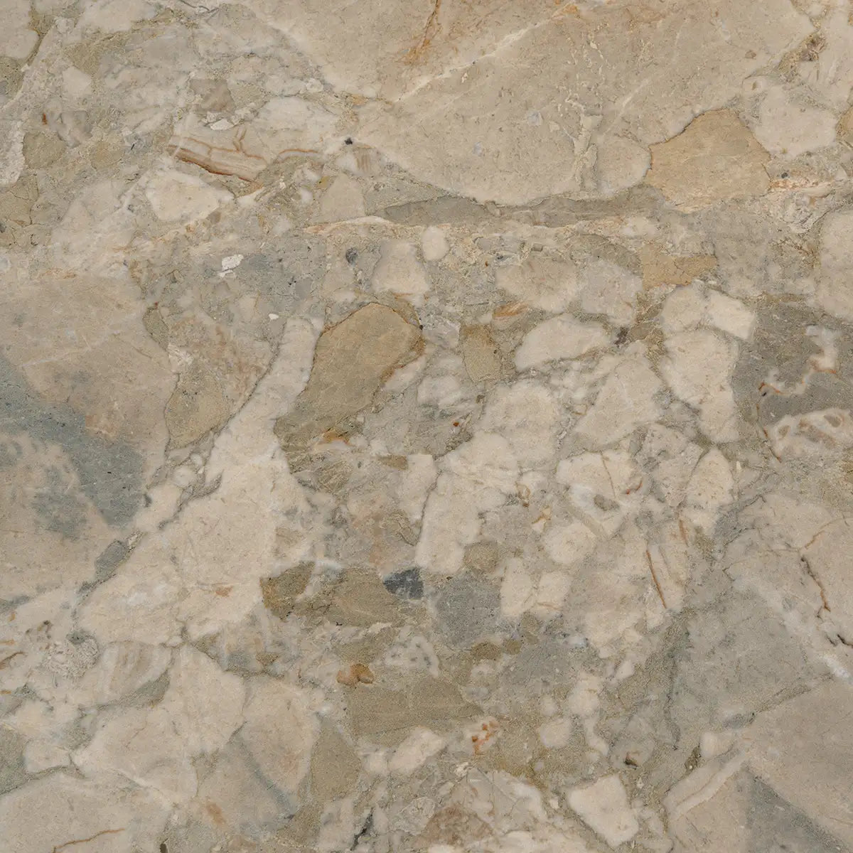 Valmira Moss Porcelain Tile 24x48 | Tile Club