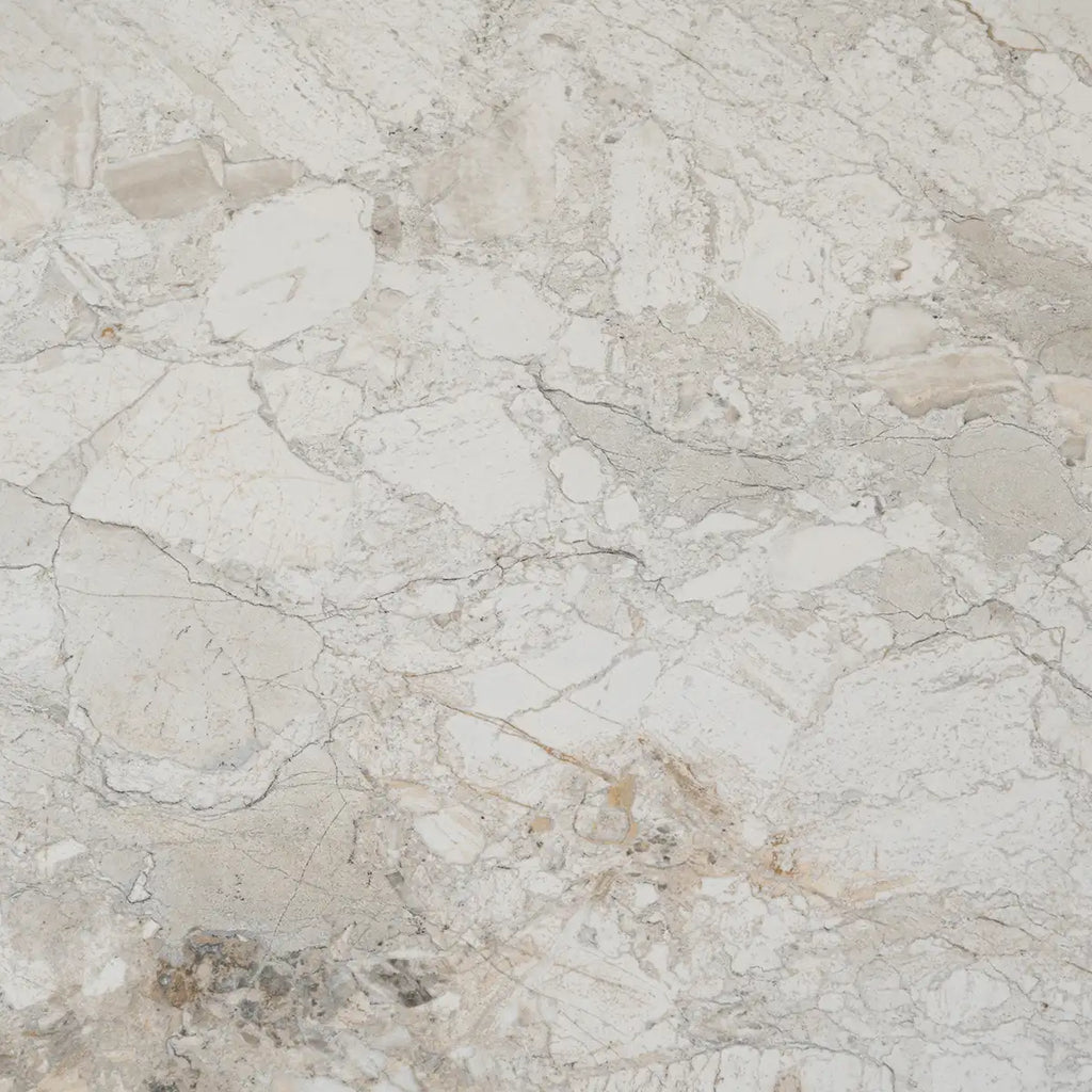 Valmira Shell Porcelain Tile 24x48 | Tile Club