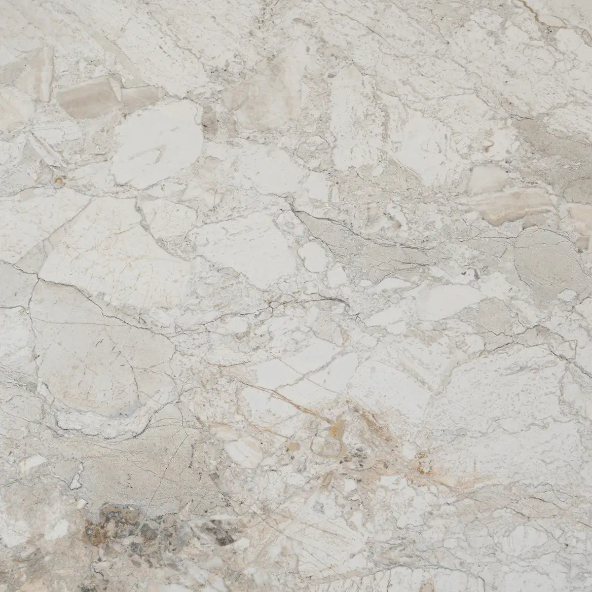 Valmira Shell Porcelain Tile 24x48 | Tile Club