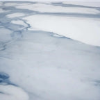 Azra Statuario Blue 24x24 Large Format Porcelain Tile | Tile Club