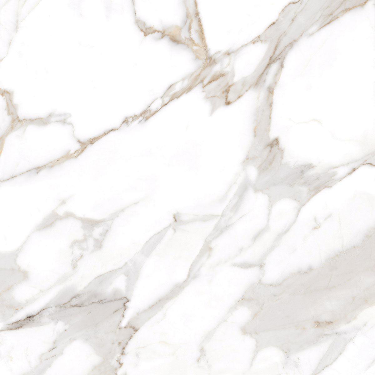 Azra Statuario Coffee 24x24 Large Format Porcelain Tile | Tile Club