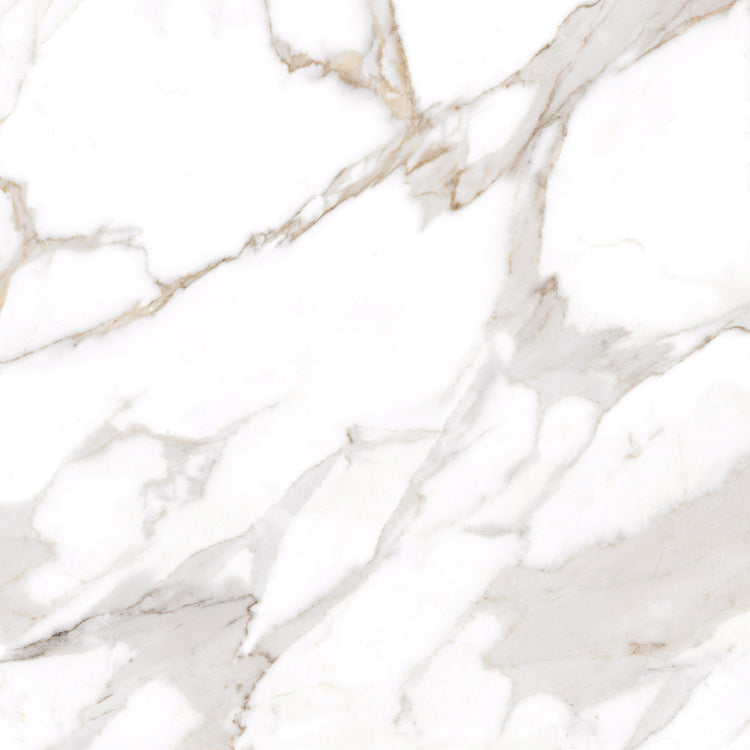 Azra Statuario Coffee 24x24 Large Format Porcelain Tile | Tile Club