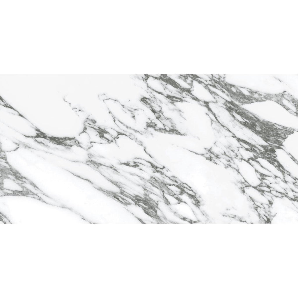Arabescato Honed Gray and White | Tile Club