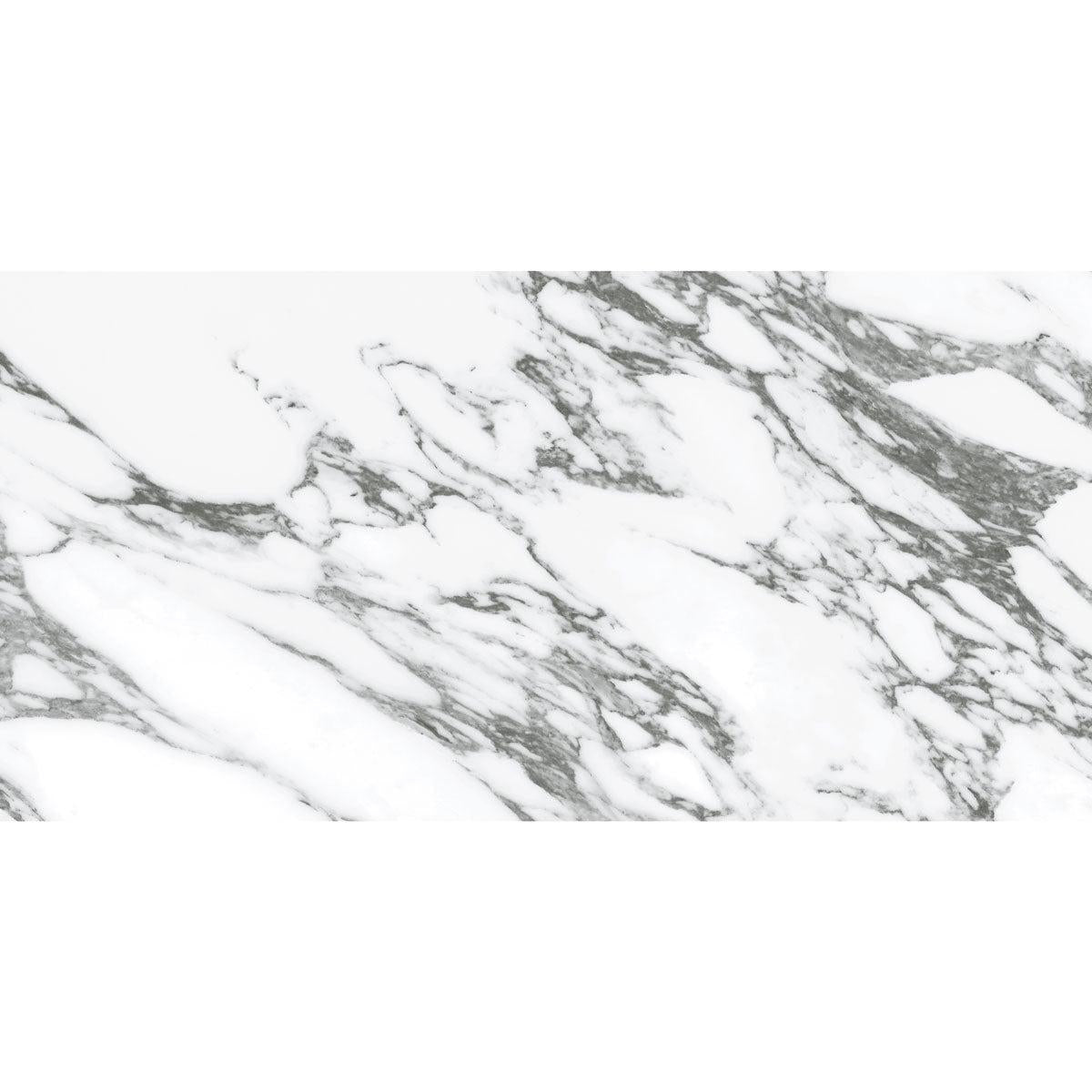 Arabescato Honed Gray and White | Tile Club