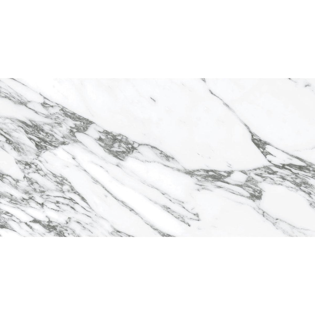 Arabescato Honed Gray and White | Tile Club