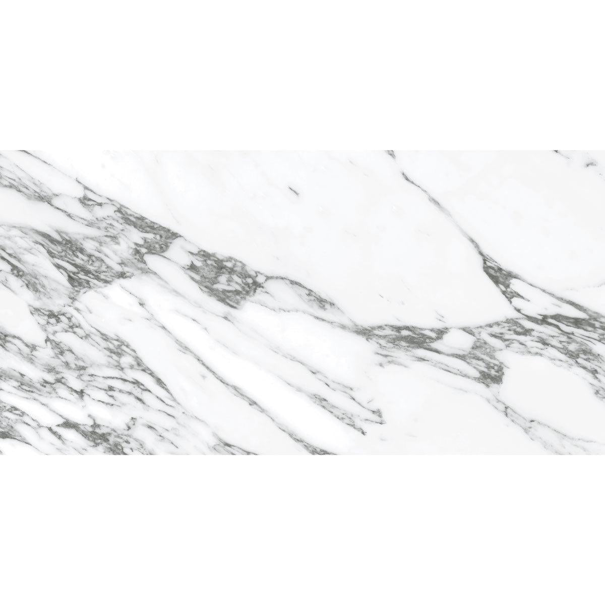 Arabescato Honed Gray and White | Tile Club