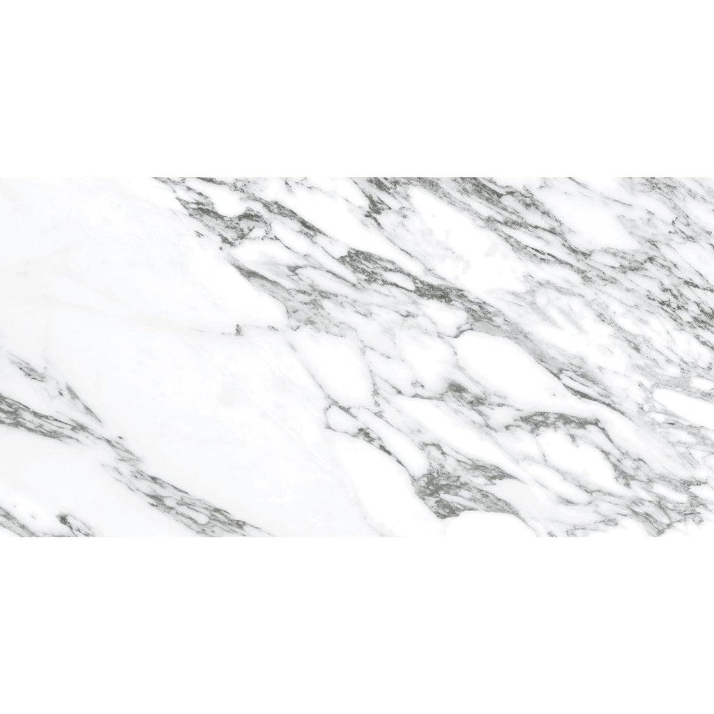 Arabescato Honed Gray and White | Tile Club