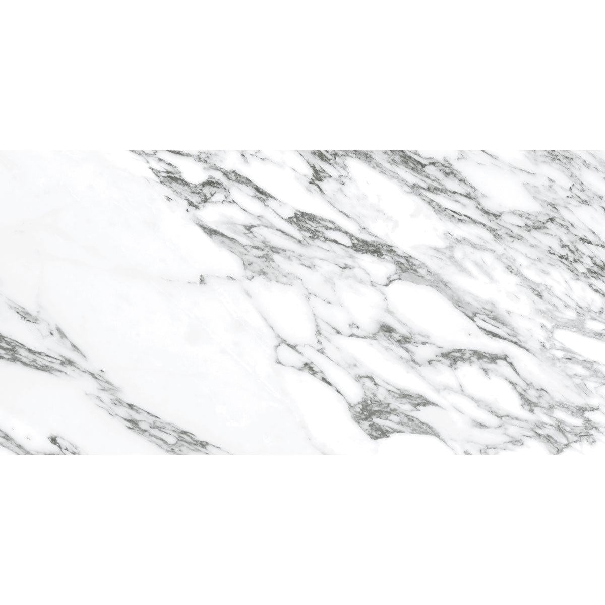 Arabescato Honed Gray and White | Tile Club