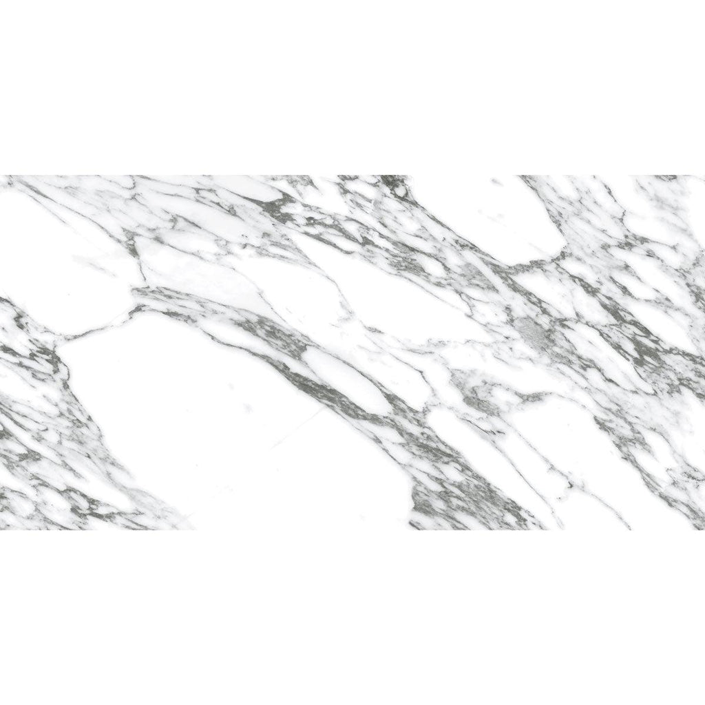 Arabescato Honed Gray and White | Tile Club
