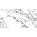 Arabescato Honed Gray and White | Tile Club