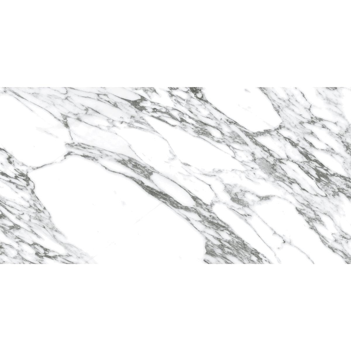 Arabescato Honed Gray and White | Tile Club