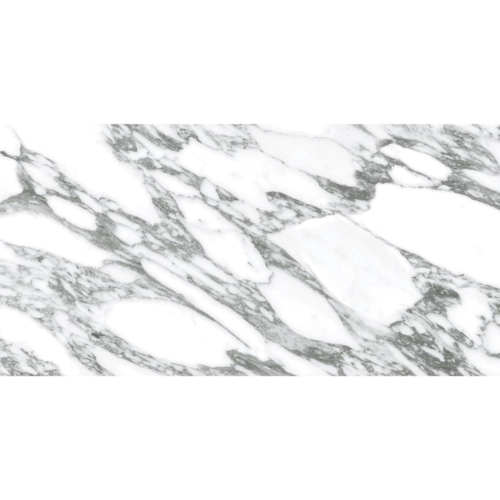 Arabescato Honed Gray and White | Tile Club