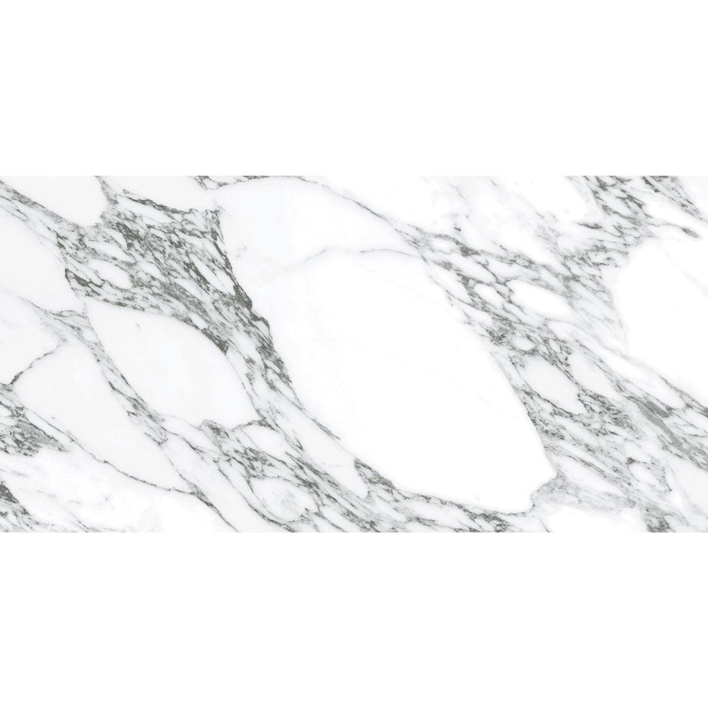 Arabescato Honed Gray and White | Tile Club