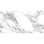 Arabescato Honed Gray and White | Tile Club