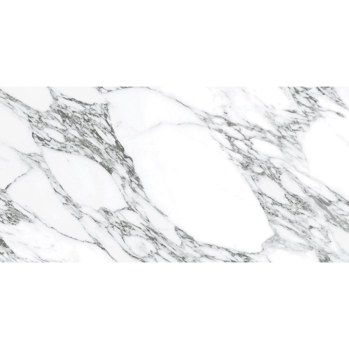 Arabescato Honed Gray and White | Tile Club