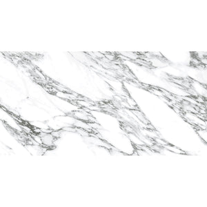 Arabescato Honed Gray and White Sample