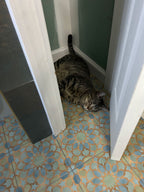 Amira Green Patterned Porcelain Tile | Tile Club