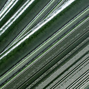 Struktura Green Dimensional Porcelain Tile | Tile Club