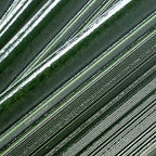 Struktura Green Dimensional Porcelain Tile | Tile Club