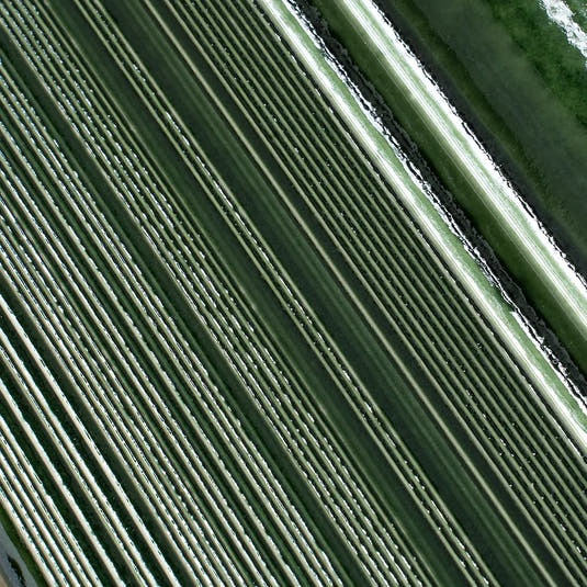 Struktura Green Dimensional Porcelain Tile | Tile Club