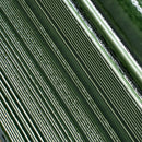 Struktura Green Dimensional Porcelain Tile | Tile Club