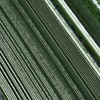 Struktura Green Dimensional Porcelain Tile | Tile Club