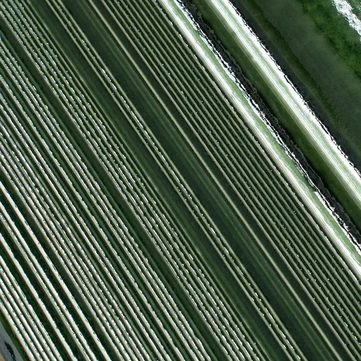 Struktura Green Dimensional Porcelain Tile | Tile Club