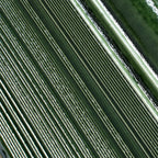 Struktura Green Dimensional Porcelain Tile | Tile Club