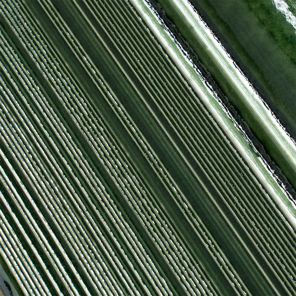 Struktura Green Dimensional Porcelain Tile | Tile Club