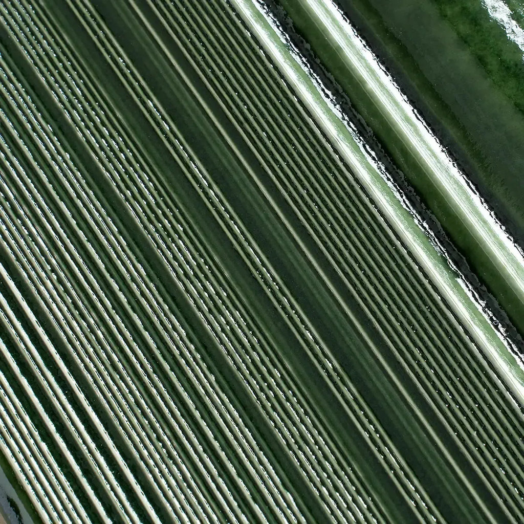 Struktura Green Dimensional Porcelain Tile | Tile Club
