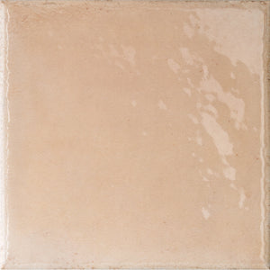 Formidus Terracotta Square 8x8 Porcelain Tile | Tile Club