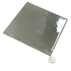 Formidus Evergreen Square 8x8 Porcelain Tile | Tile Club