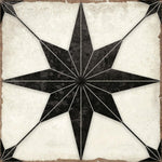 Ursa Black Star 7.87 x 7.87 Porcelain Tile Sample