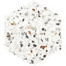 Desert Sand Terrazzo Hex Porcelain Tile Sample