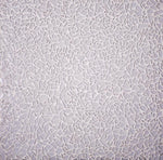 Diamond White Glass Pebble Mosaic Tile